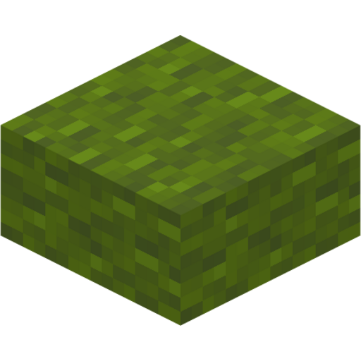 Green Wool Slab