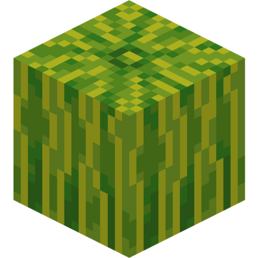 Melon