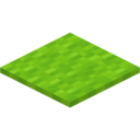 Lime Carpet
