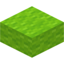 Lime Wool Slab