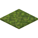 Moss Carpet